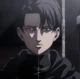 Levi heichou