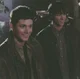 The Winchesters