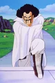 Hercule Satan 