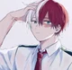 Todoroki Shouto 