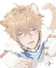 Gepard Neko