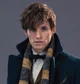 Newton Scamander