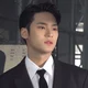 bodyguard Mingyu