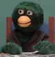 -DHMIS- Duck