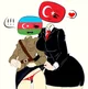 Turkiye Azerbaijan
