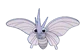 Venomoth