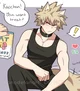 Bakugou katsuki 