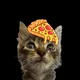 Pizza crust