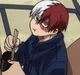 Shoto Todoroki 