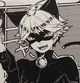 Cat Noir