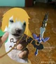 Perro link