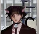 Chrollo Lucilfer cat