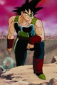 Bardock