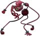Mommy Longlegs