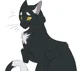 Ravenpaw