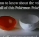 recalled pokmon toy