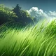 Grass