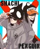 Penguin y Shachi