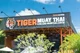 Tiger muay thai 