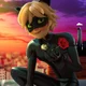 Cat Noir