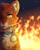 - Warrior Cats