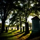 Shadowvale Cemetery
