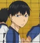 Kageyama Tobio