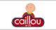 Caillou The Grownup