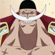 Whitebeard 