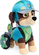 PAW Patrol Rex stuff