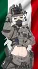 Italian Soldier