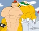 Marcro bowser