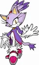 Blaze The Cat