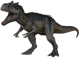 Allosaurus