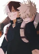 Todoroki and bakogu 