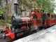 Dolgoch