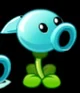 Aqua pea