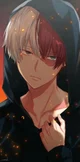 Todoroki