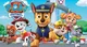 Paw Patrol Story Bot