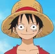 Monkey D Luffy