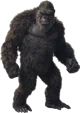 kong
