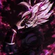 Goku Black Xeno