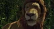 Samson the lion