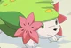 Shaymin