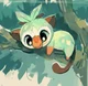 Grookey