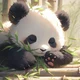 Baby Panda