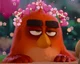 Red Angry Birds