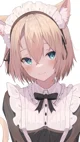 Cat Maid