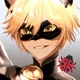 Cat Noir