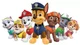 Paw patrol group